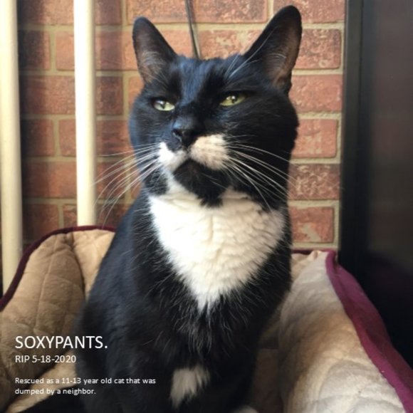 Meet your Posher, Andrea - Picture 5 of 7